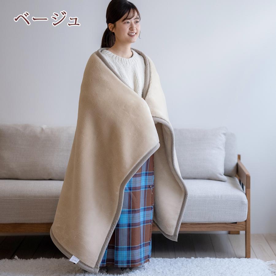 西川（nishikawa） 毛布 ハーフサイズ 140×100cm 2枚合わせ 日本製