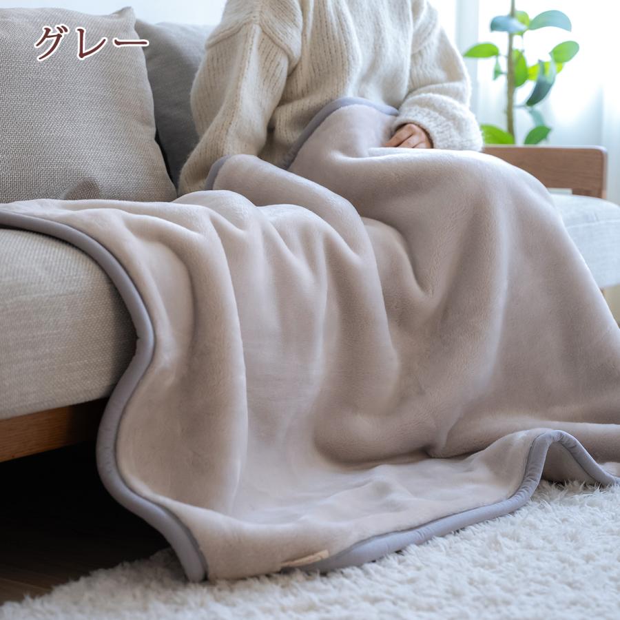 西川（nishikawa） 毛布 ハーフサイズ 140×100cm 2枚合わせ 日本製