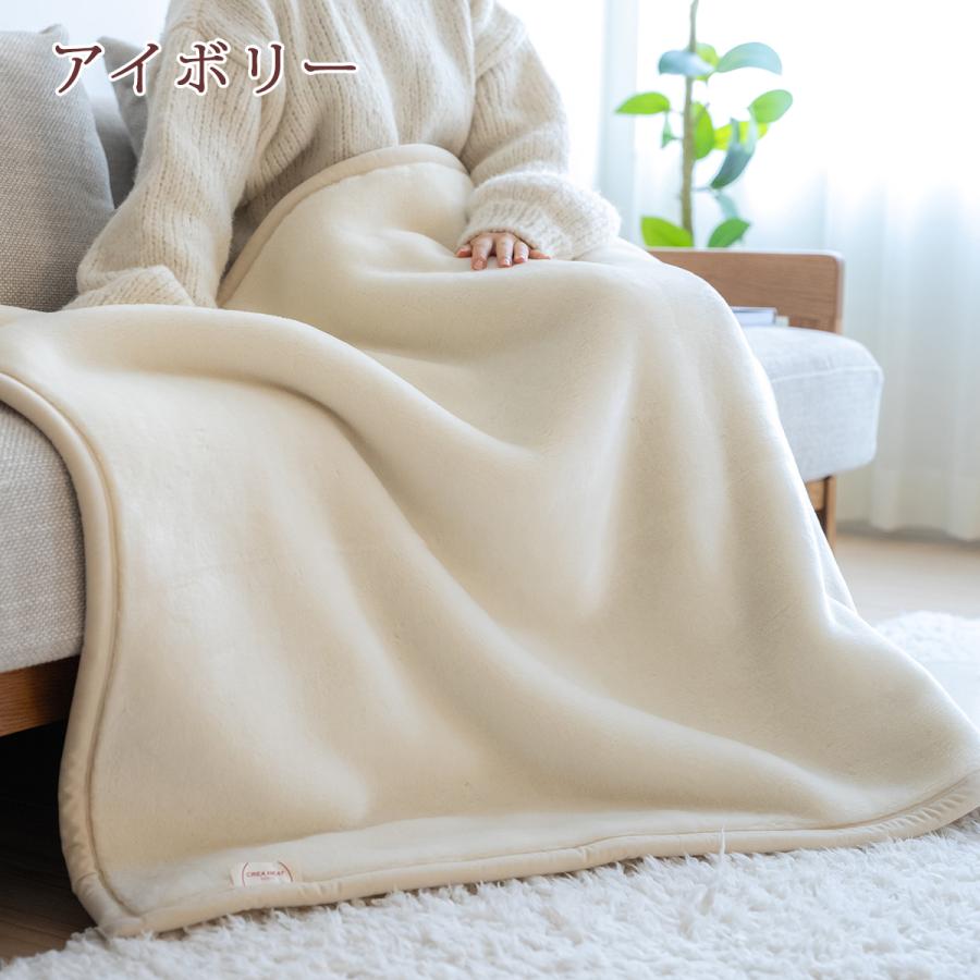 西川（nishikawa） 毛布 ハーフサイズ 140×100cm 2枚合わせ 日本製