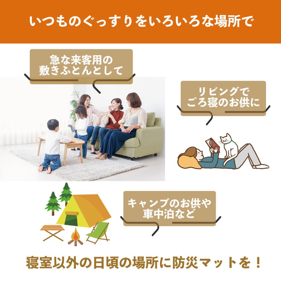 防災士推薦 防災マット ふとんの西川 nishikawa 睡眠のプロが作った眠テク防災マット 63×200 厚さ約3cm アウトドア キャンプ | 西川 | 07