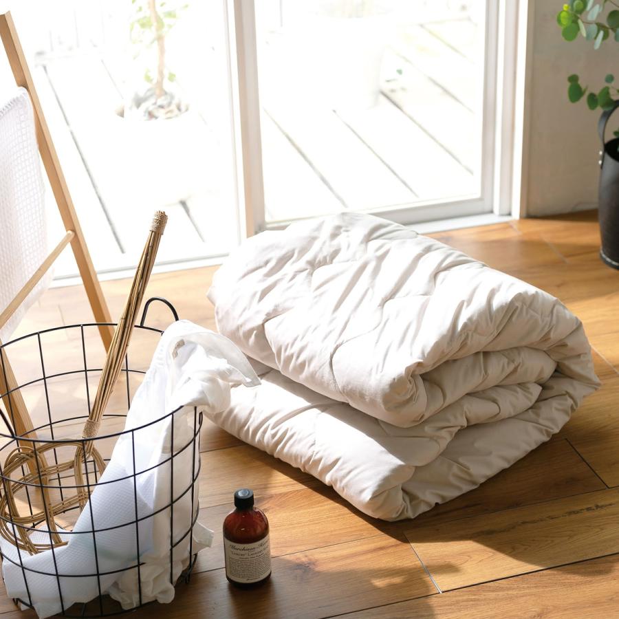 こたつ掛け布団 正方形 210×210cm 側地 綿100 綿100％ Fab the Home