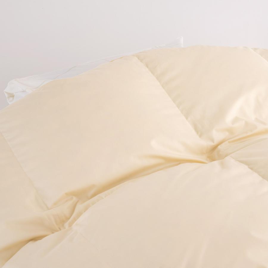 羽毛布団 セミダブル ロマンス小杉 西川掛カバー等特典付 DP440 ヨーロッパ産 グース95％ 増量1.5kg 暖か 冬用 花粉フリー 掛布団 | ロマンス小杉 | 02