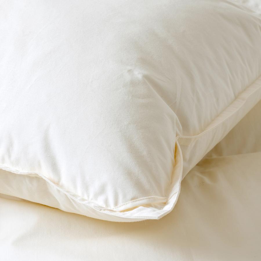 羽毛布団 クィーン 西川 掛け布団 ハンガリー産グース ダウン93% DP410 増量2.0kg 綿100％ 超長綿 | 西川 | 02