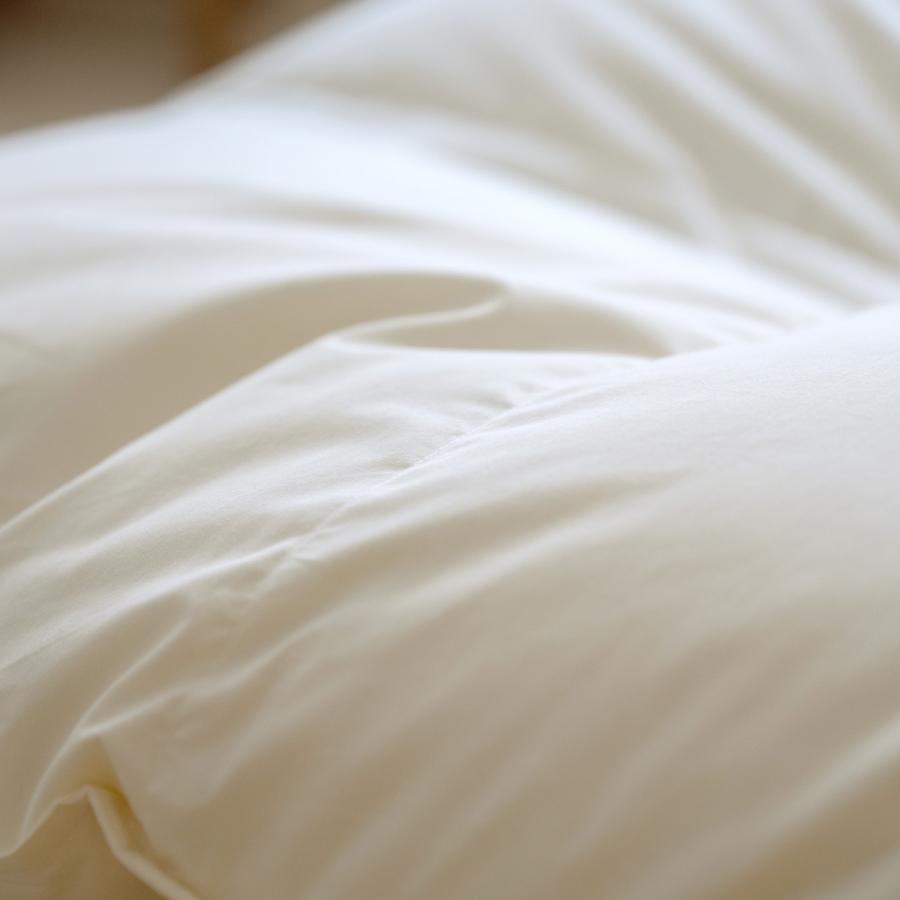 羽毛布団 クィーン 西川 掛け布団 ハンガリー産グース ダウン93% DP410 増量2.0kg 綿100％ 超長綿 | 西川 | 05