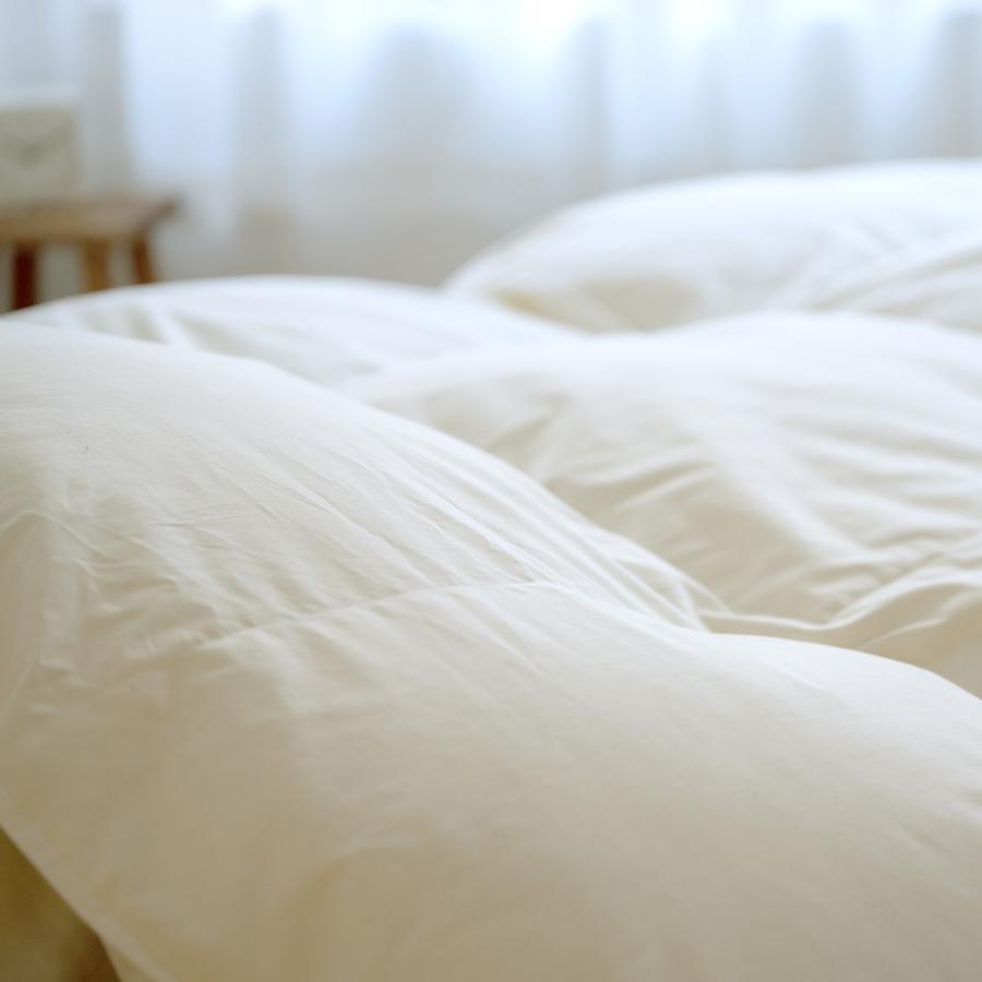 羽毛布団 クィーン 西川 掛け布団 ハンガリー産グース ダウン93% DP410 増量2.0kg 綿100％ 超長綿 | 西川 | 06