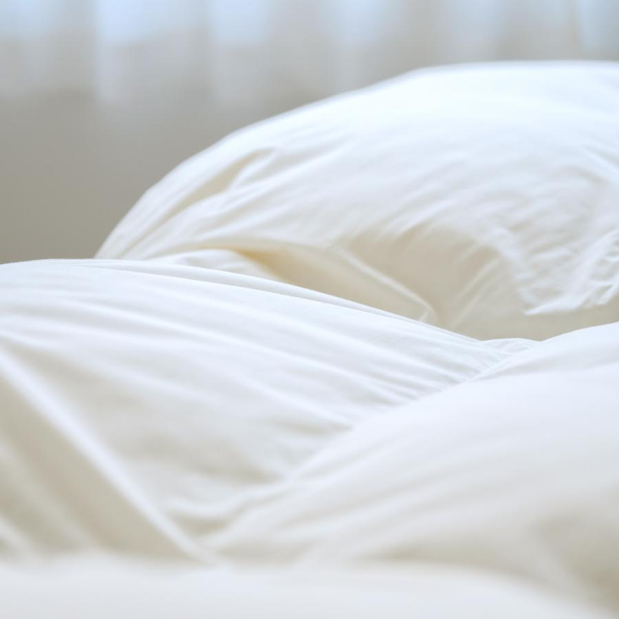 羽毛布団 クィーン 西川 掛け布団 ハンガリー産グース ダウン93% DP410 増量2.0kg 綿100％ 超長綿 | 西川 | 07