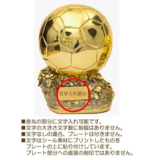文字入れ無し・高さ約15cm】即日発送可能!バロンドール賞(欧州年間最