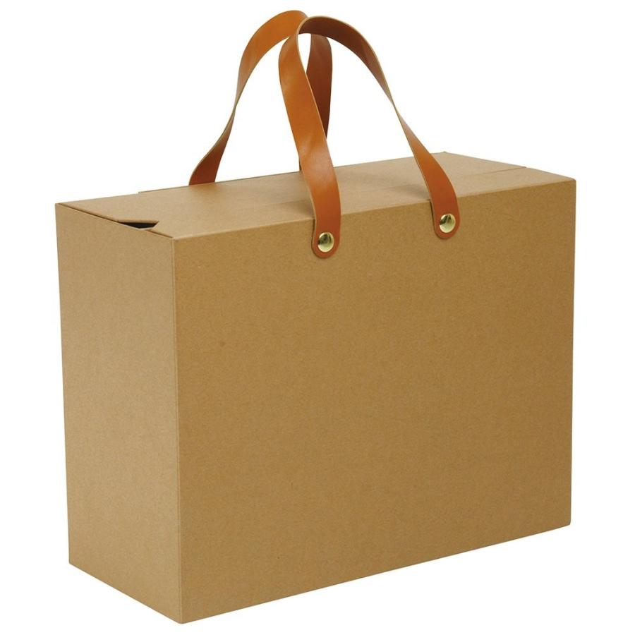 ナカバヤシ ライフスタイルツール 収納カバン サイズ クラフト Lst Sk02kr Www Arilab Com Tr Index Php