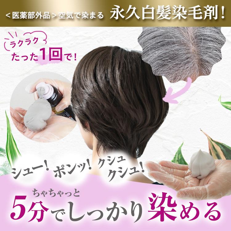 ヘアボーテエクラ ボタニカル エアカラーフォーム ダークブラウン 150g 白髪染め 医薬部外品 セミロング 全体1回 リタッチ11回程度 フューチャーラボショップ 通販 Paypayモール