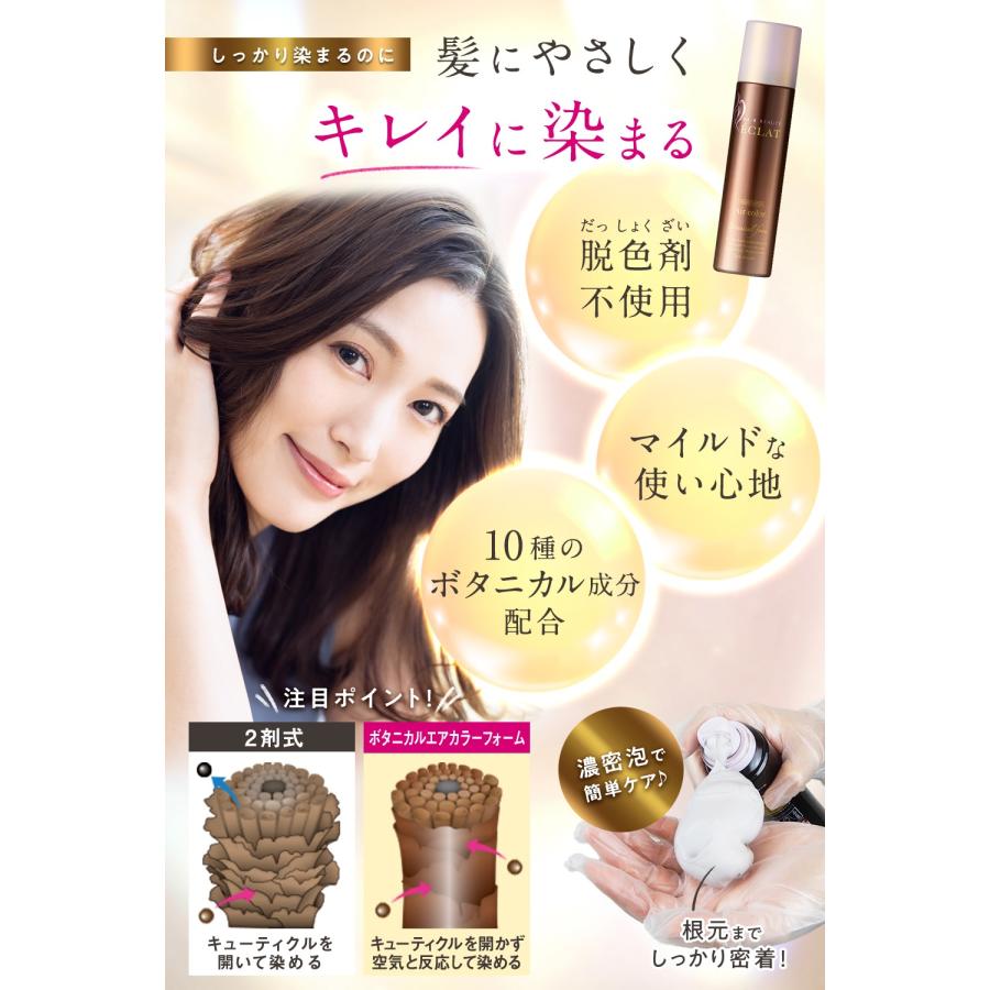 HAIR BEAUTE ECLAT 特価 白髪染め リタッチ 全体染め 部分染め HAIR BEAUTE ECLAT 特価 白髪染め リタッチ 全体染め 部分染め