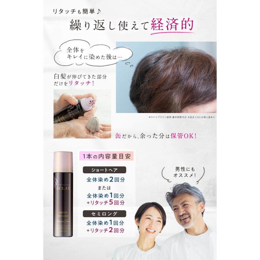 新価格 白髪染め 医薬部外品 ヘアボーテエクラ ボタニカルエアカラー