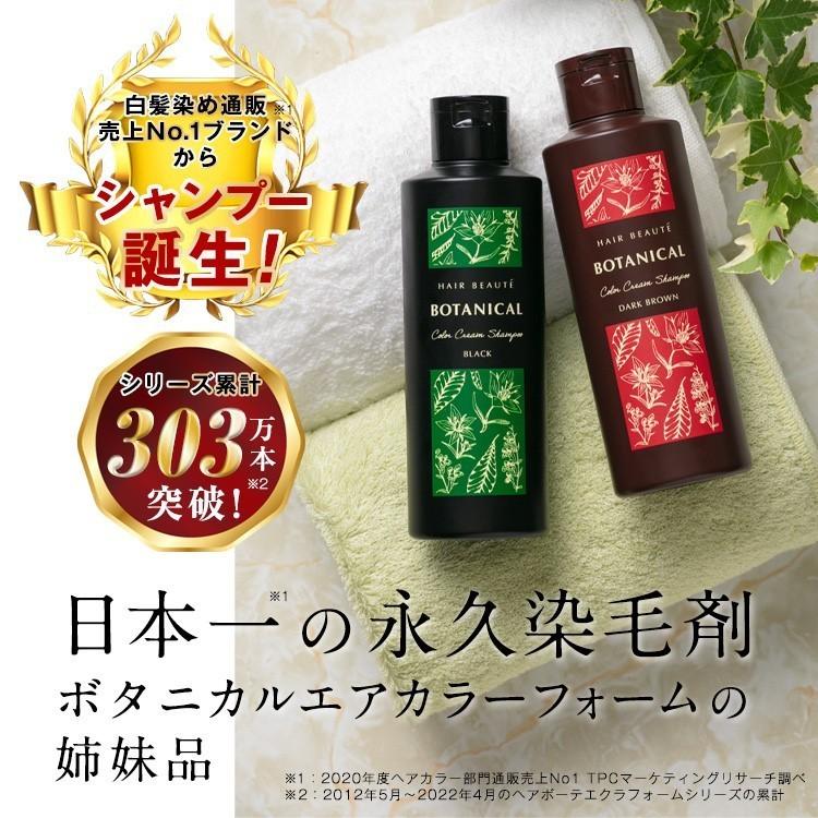 HAIR BEAUTE ECLAT 白髪染め シャンプー カラーシャンプー HAIR BEAUTE ECLAT 白髪染め シャンプー カラーシャンプー