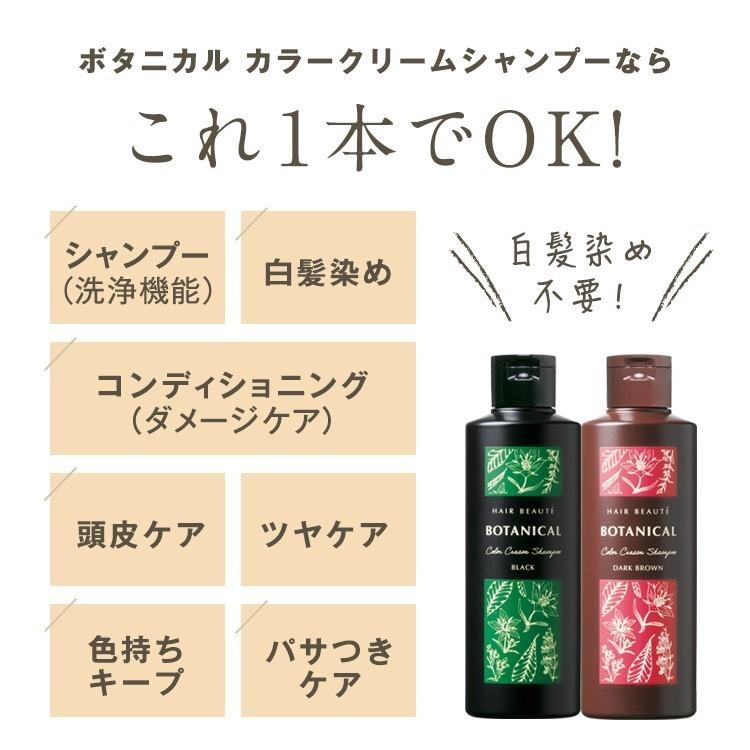 HAIR BEAUTE ECLAT 白髪染め シャンプー カラーシャンプー HAIR BEAUTE ECLAT 白髪染め シャンプー カラーシャンプー