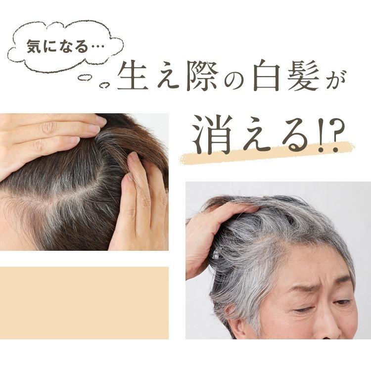 HAIR BEAUTE ECLAT 白髪染め シャンプー カラーシャンプー HAIR BEAUTE ECLAT 白髪染め シャンプー カラーシャンプー
