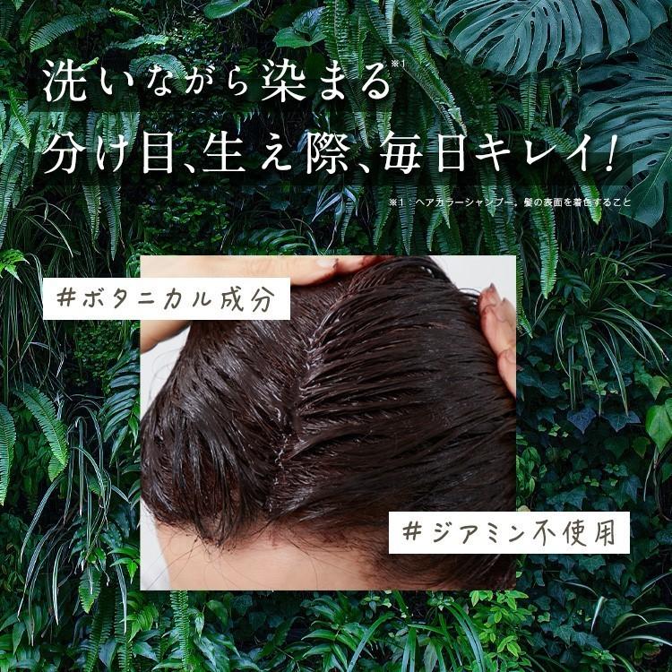 白髪染め シャンプー カラーシャンプー ヘアボーテ ボタニカルカラー