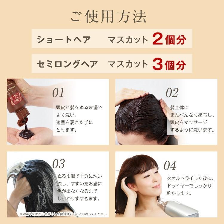 HAIR BEAUTE ECLAT 白髪染め シャンプー カラーシャンプー HAIR BEAUTE ECLAT 白髪染め シャンプー カラーシャンプー