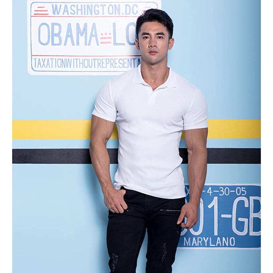 Manatsulife メンズ 半袖 ポロシャツ オシャレ サマーニット コットン 細身 ピッタリ ストレッチ マッチョ 筋トレ Pldx3 A1 Pldx3 未来life 通販 Yahoo ショッピング