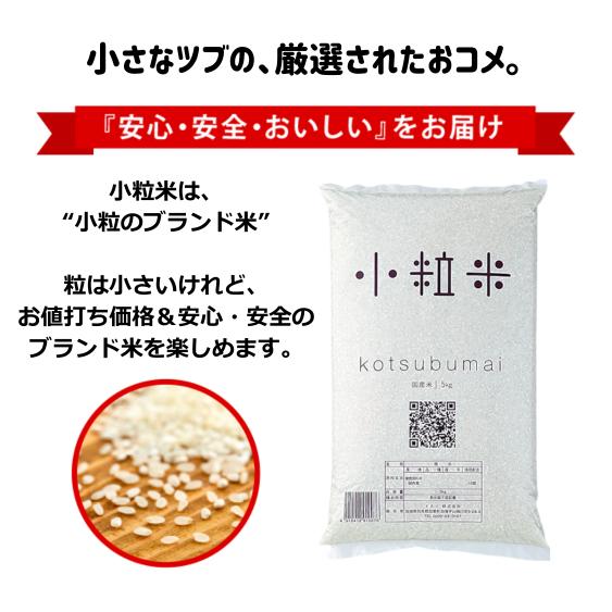 ブレンド米5kg 国産 小粒米 精米 ブレンド米 白米 お米 kotsubumai 