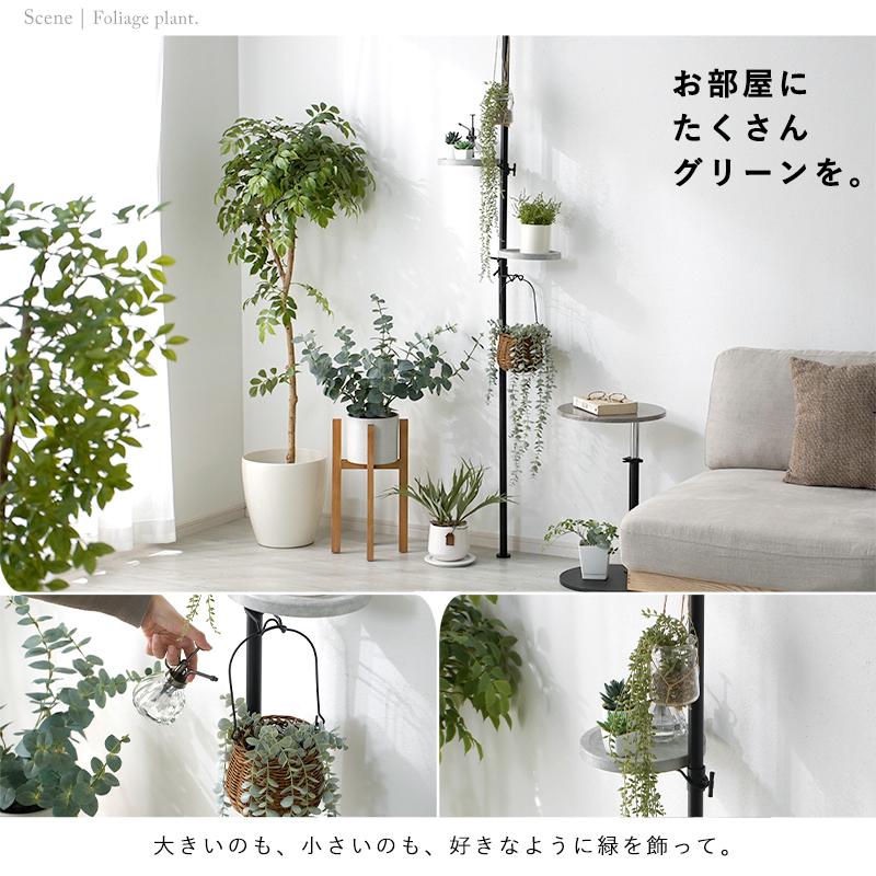ワイエムワールド 突っ張りラック つっぱり棒 突っ張り棚 スリム 天井