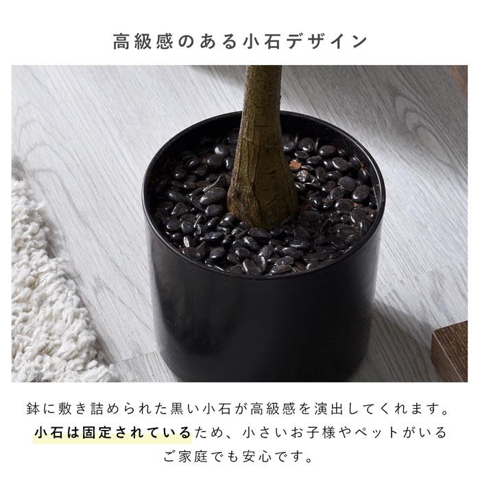 フェイクグリーン 大型 玄関 ユーカリ ユーカリの木 150cm 鉢植え おしゃれ 新築祝い スリム 人工観葉植物 観葉植物 フェイク インテリア リアル プランター 枝の画像