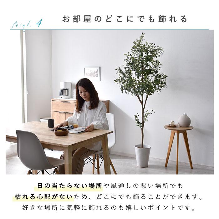 フェイクグリーン 大型 玄関 オリーブ オリーブの木 180cm 鉢植え