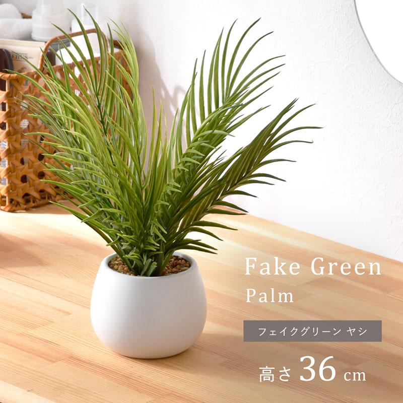 インテリアグリーン ヤシ 高さ36cm ナチュラル ナチュラルインテリア
