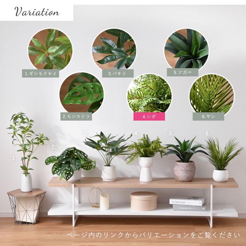 インテリアグリーン シダ 高さ40cm ナチュラル ナチュラルインテリア