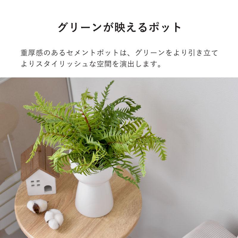インテリアグリーン シダ 高さ40cm ナチュラル ナチュラルインテリア