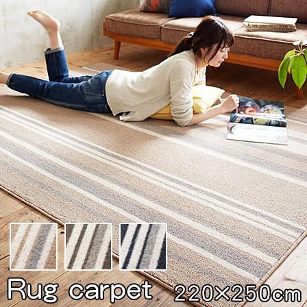 日本製 ラグ カーペット 220×250 防ダニ ラグマット :37-228:収納 本棚