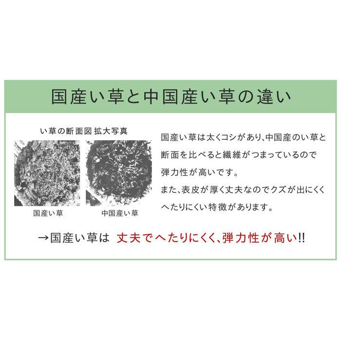 い草 カーペット 日本製 純国産 191×191cm 約2畳サイズ ラグ 幾何学柄 抗菌 防臭 裏面ウレタン 上敷き 正方形 ボーダー い草ラグ い草マット おしゃれ マット｜futureoffice｜07