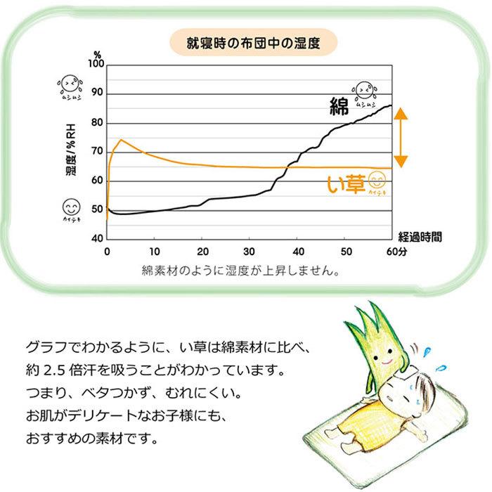 日本製 子供 い草 マット 70×120cm 抗菌 防臭 お昼寝布団 敷き布団 夏 涼しい マットレス 国産 たたみ 畳 お昼寝 敷布団 寝具 お昼寝マット ごろ寝マット｜futureoffice｜09