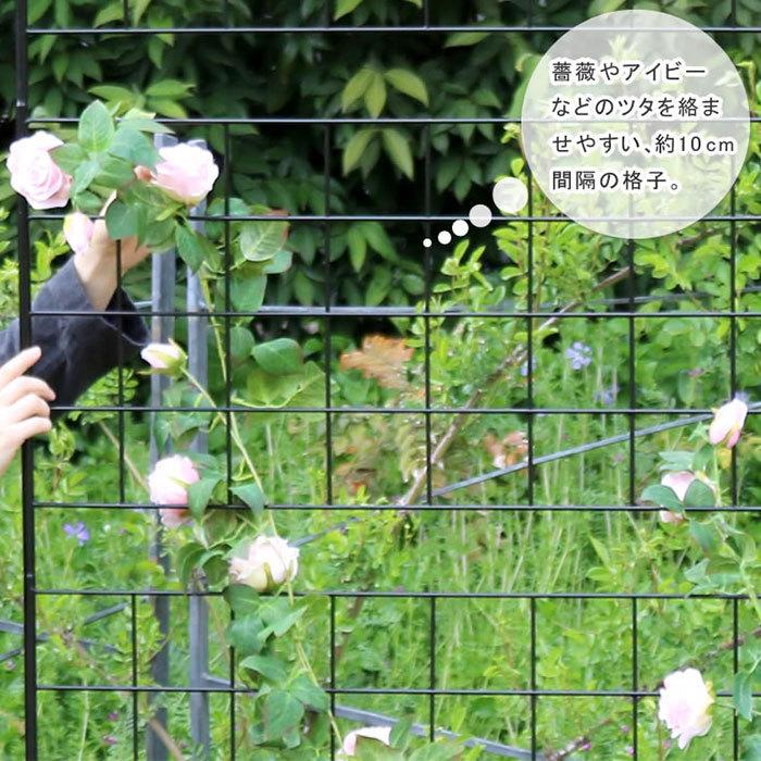 ガーデンフェンス アイアン 高さ75cm 4枚組 グリーンカーテン