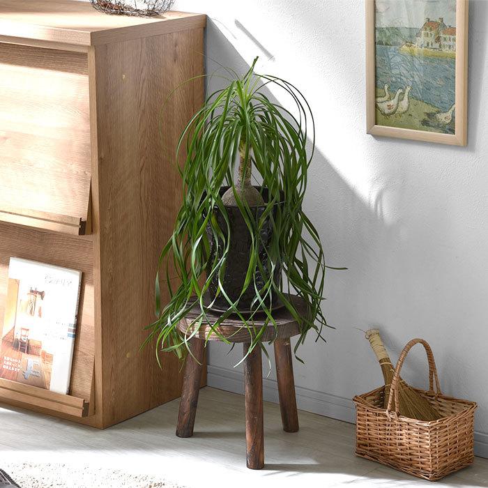 花台 フラワースタンド 銘木 天然木 自然木 ガーデニング インテリア 置物 スタンド プランタースタンド フラワースタンド 天然木 おしゃれ 北欧