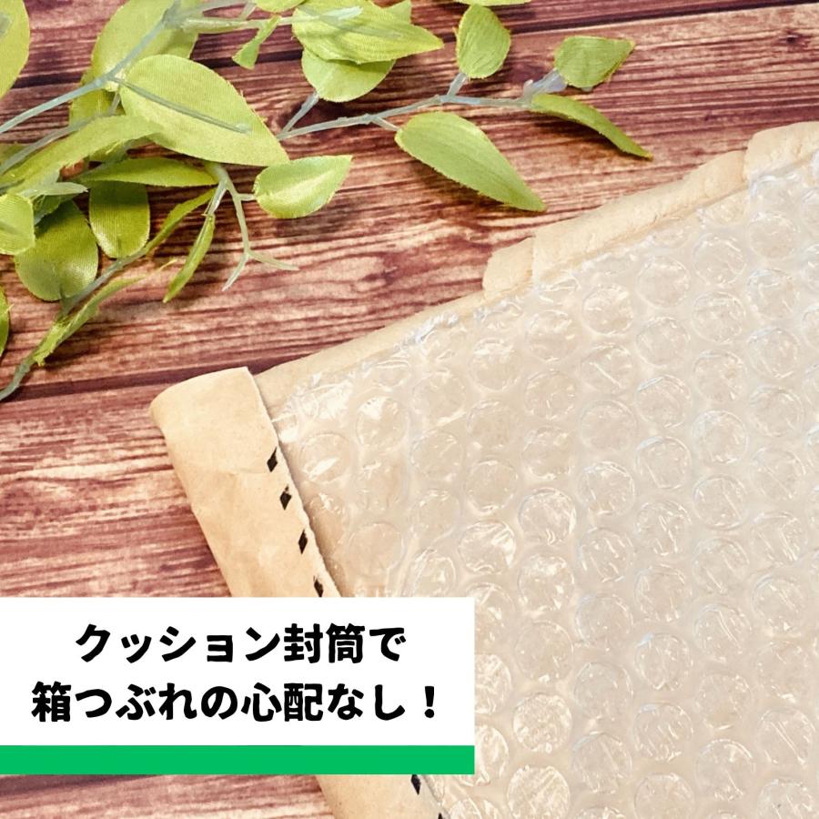 NICOLESS NiL ニコレス ニコレス ニル IQOS アイコス タバコ 電子たばこ アイコス ニコチン0 加熱式タバコ  禁煙グッズ | NICOLESS | 20