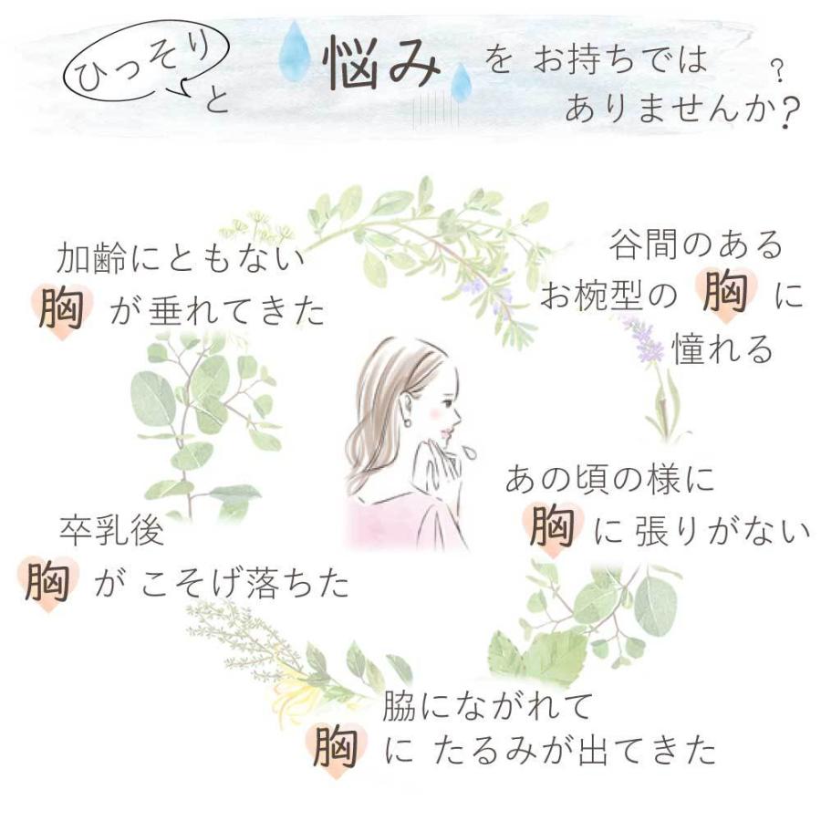 ナイトブラ ブラジャー ノンワイヤー シームレス 2枚セット 期間限定数量限定特別価格 育乳 脇肉補正 【正規品】ブラトップ スポーツブラ 高級SPANDEX使用 |  | 14