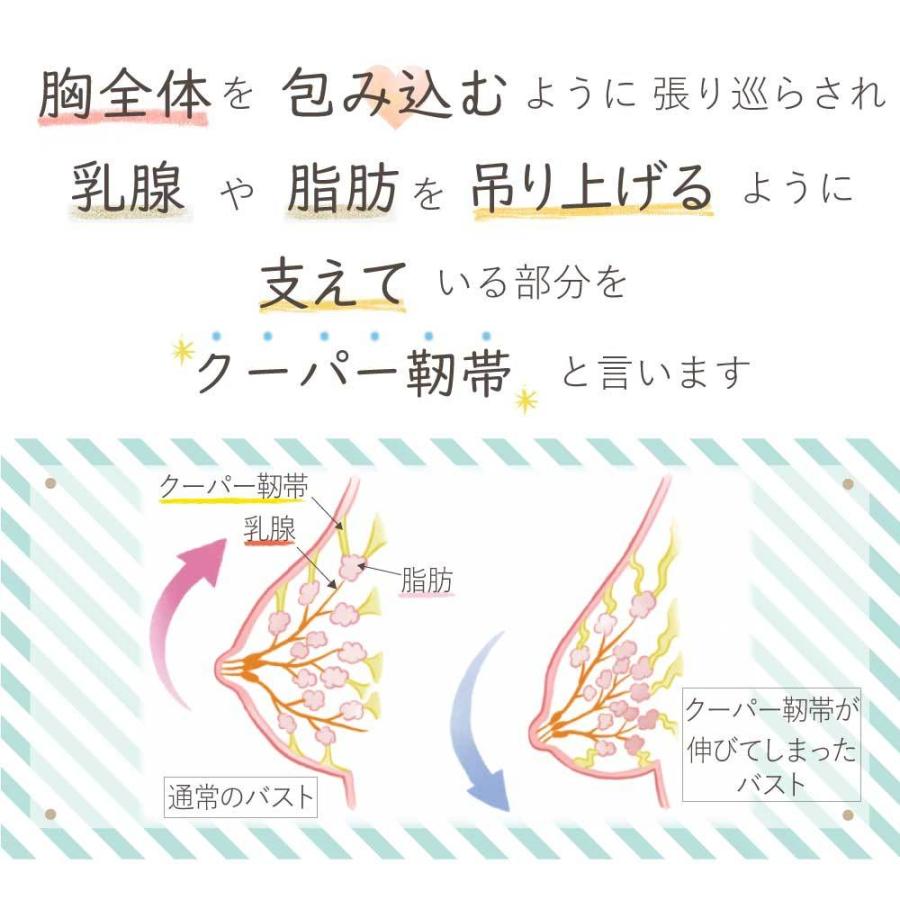 ナイトブラ ブラジャー ノンワイヤー シームレス 2枚セット 期間限定数量限定特別価格 育乳 脇肉補正 【正規品】ブラトップ スポーツブラ 高級SPANDEX使用 |  | 19