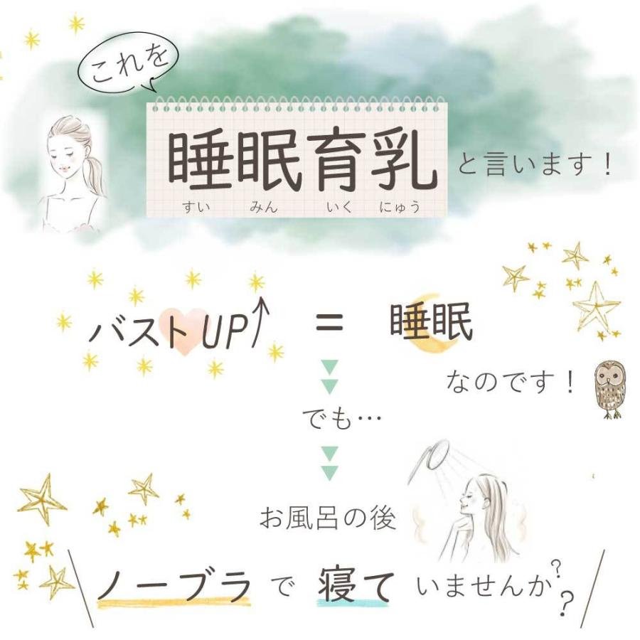 ナイトブラ ブラジャー ノンワイヤー 40代 50代 育乳 夏用 効果 大きいサイズ 脇肉補正 30代 脇高 |  | 06
