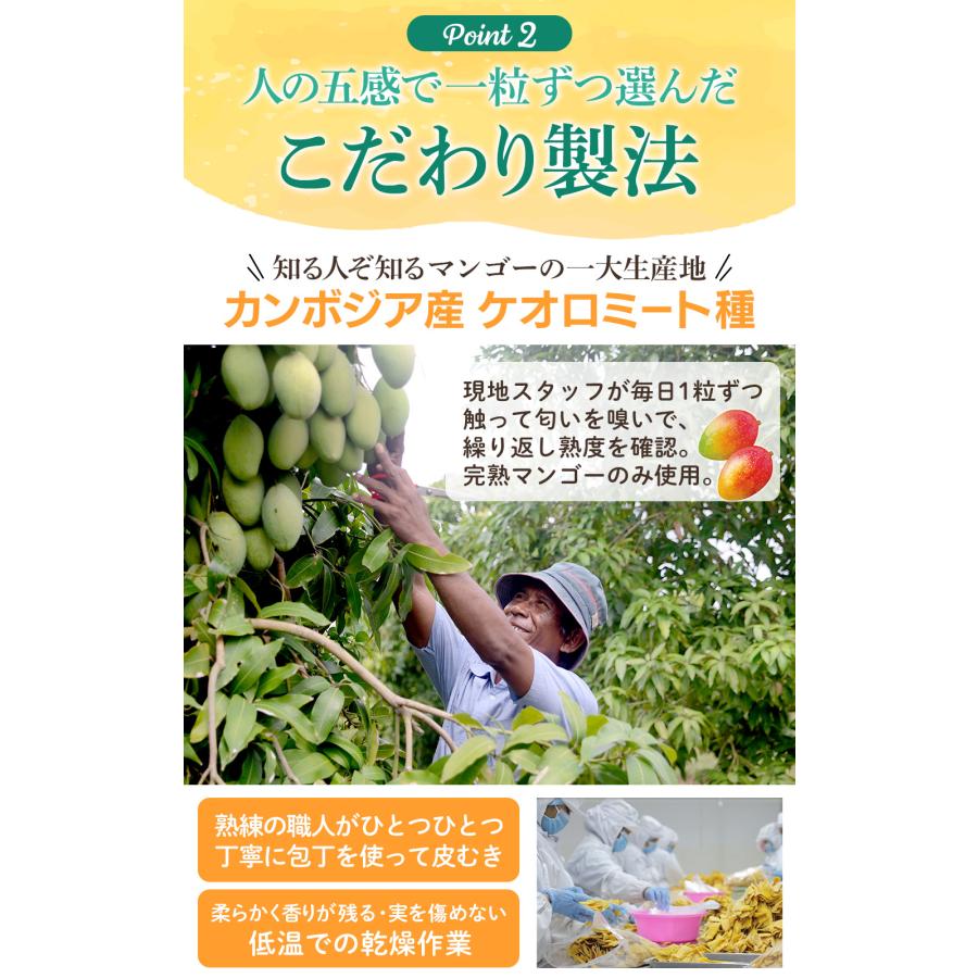 ドライマンゴー ソフトマンゴー 【安心の国内加工】 大容量 1kg 完熟マンゴー使用 低糖加工 ドライフルーツ |  | 03