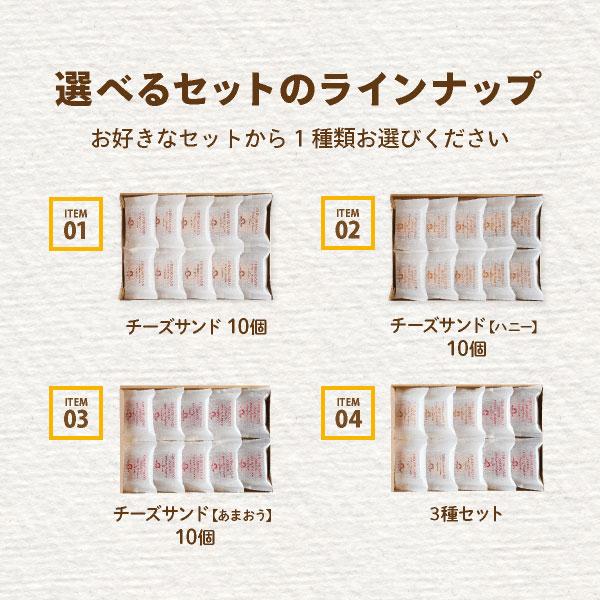 送料無料 お菓子 お試しセット 詰合せ クッキー ｜ CHEESE CAVERY