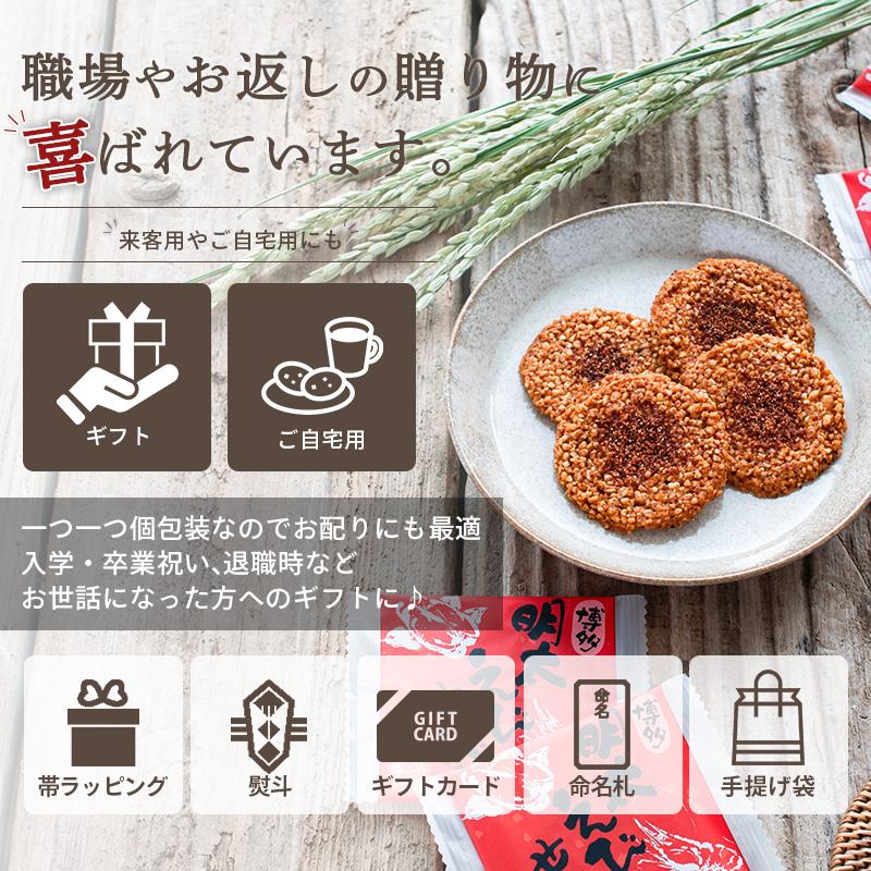 えびせんせんさん専用　3口 えびせんせんさん専用 3口 えびせんせんさん専用 3口 無選別