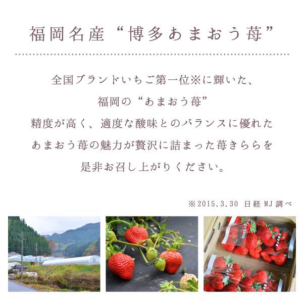 お歳暮 ギフト 苺きらら 3個入 | プチギフト ホイップチョコレート