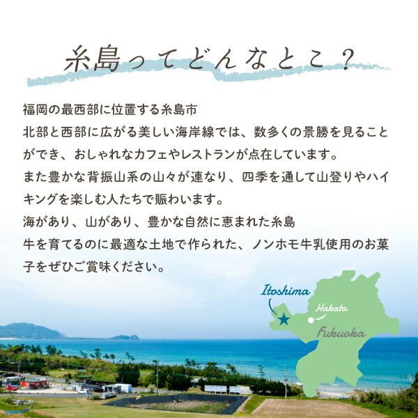 糸島ミルク巻きラングドシャ 16本入 | 即日発送 福岡 糸島 ミルク 牛乳 土産 スイーツ （宅急便発送） proper｜fuubian｜05