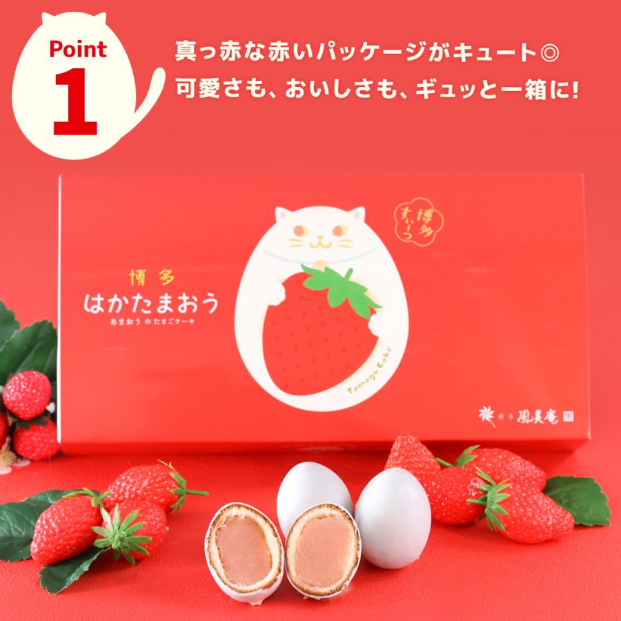夏ギフト お中元 お菓子 ギフト 個包装 2026 ケーキ | 博多風美庵 博多