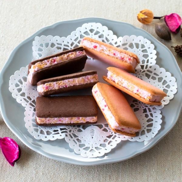ペーパーバッグぷちギフト サンドクッキーセット 苺きらら ショコラサンドクッキー あまおう苺 プチギフト 博多風美庵 宅急便発送 Pgift F 7701 博多風美庵 Yahoo ショッピング店 通販 Yahoo ショッピング