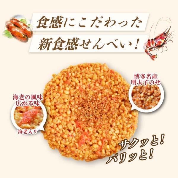博多明太えびせんべい48枚入り 風美庵お試しシリーズ 送料無料 えびせんべい 和菓子 博多明太子使用 お試し スイーツ お菓子 メール便発送 Mailbin F 8105z5 博多風美庵 Yahoo ショッピング店 通販 Yahoo ショッピング