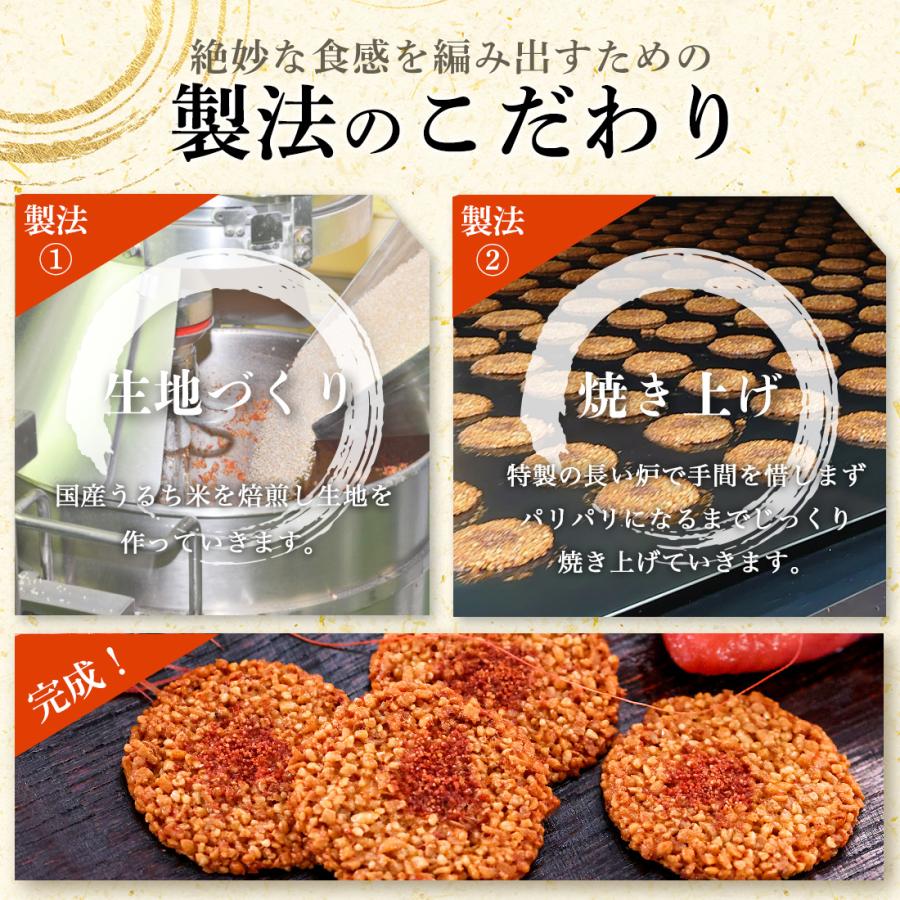 博多明太えびせんべい48枚入 ｜メール便 mailbin |  | 05