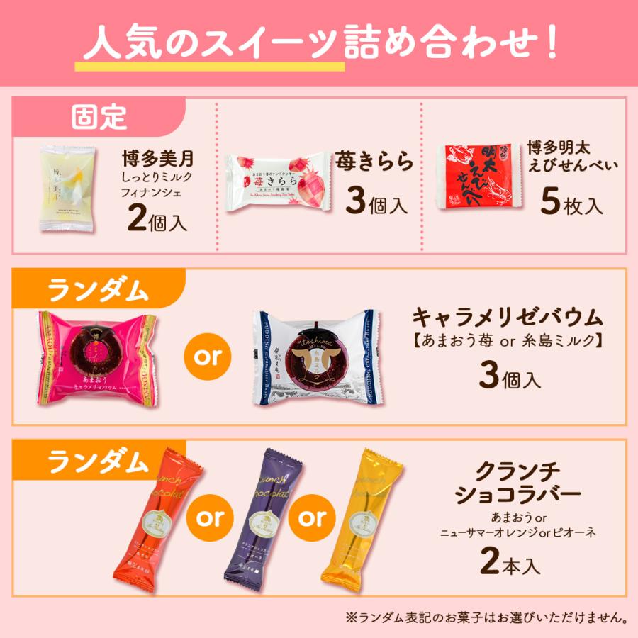 送料無料 お菓子 お試しセット 個包装 焼き菓子 ｜ 2026 ver2 博多風美庵 風美庵お試しセット 【5】 メール便 mailbin |  | 05