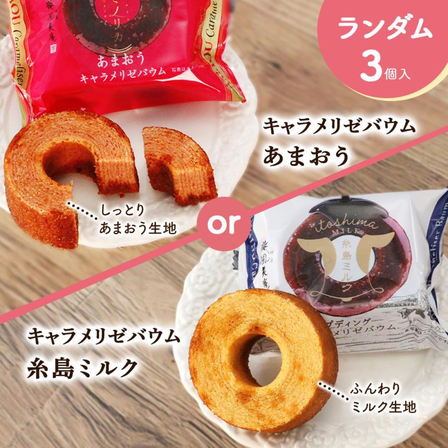 2025 01 バージョン】風美庵お試しセット メール便発送 送料無料 2025 01 バージョン】風美庵お試しセット メール便発送 送料無料