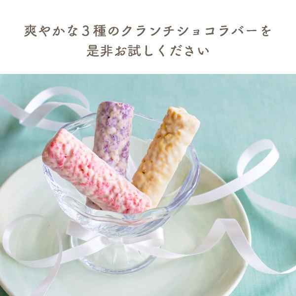 クランチショコラバーお試しセット 15本入 【5】メール便 mailbin