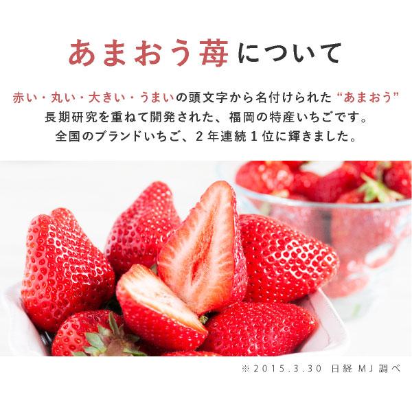 【メール便発送】あまおうクランチチョコ30個入＜通販限定のお試しお菓子セット＞洋菓子 あまおう チョコレート 送料無料 mailbin｜fuubian｜03